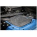 Forge Carbon Fibre Induction Kit - BMW M3 F80 / Bmw M4 F82 